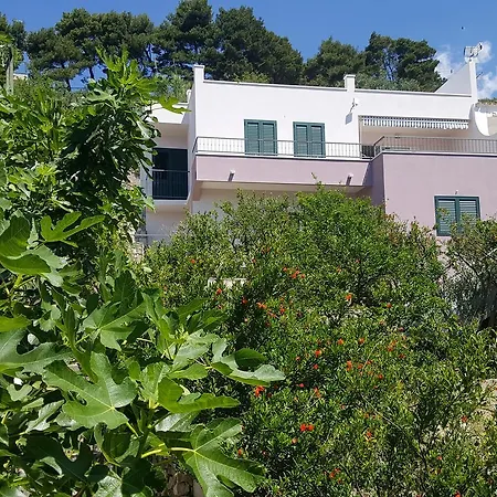 Apartments Pero Podgora Exterior photo